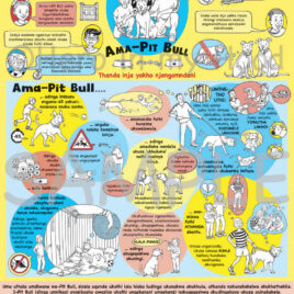 Pit Bull Poster A1 Master Copy, isiZulu, download