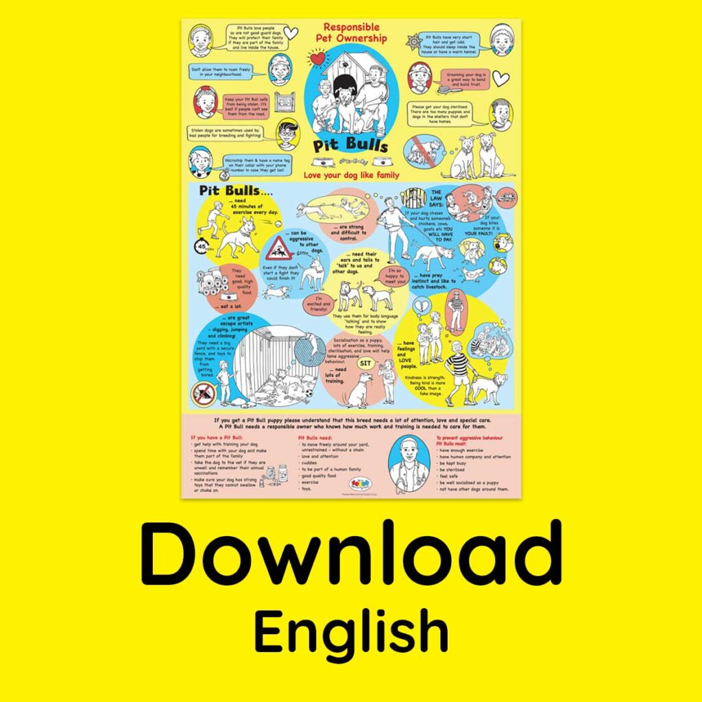 Pit Bull Poster, English - download