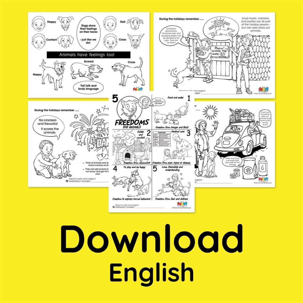 Pet Care Holiday Bundle, English - download