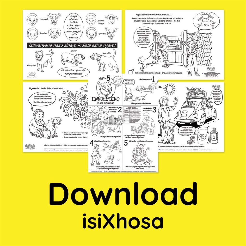 Pet Care Holiday Bundle, isiXhosa - download