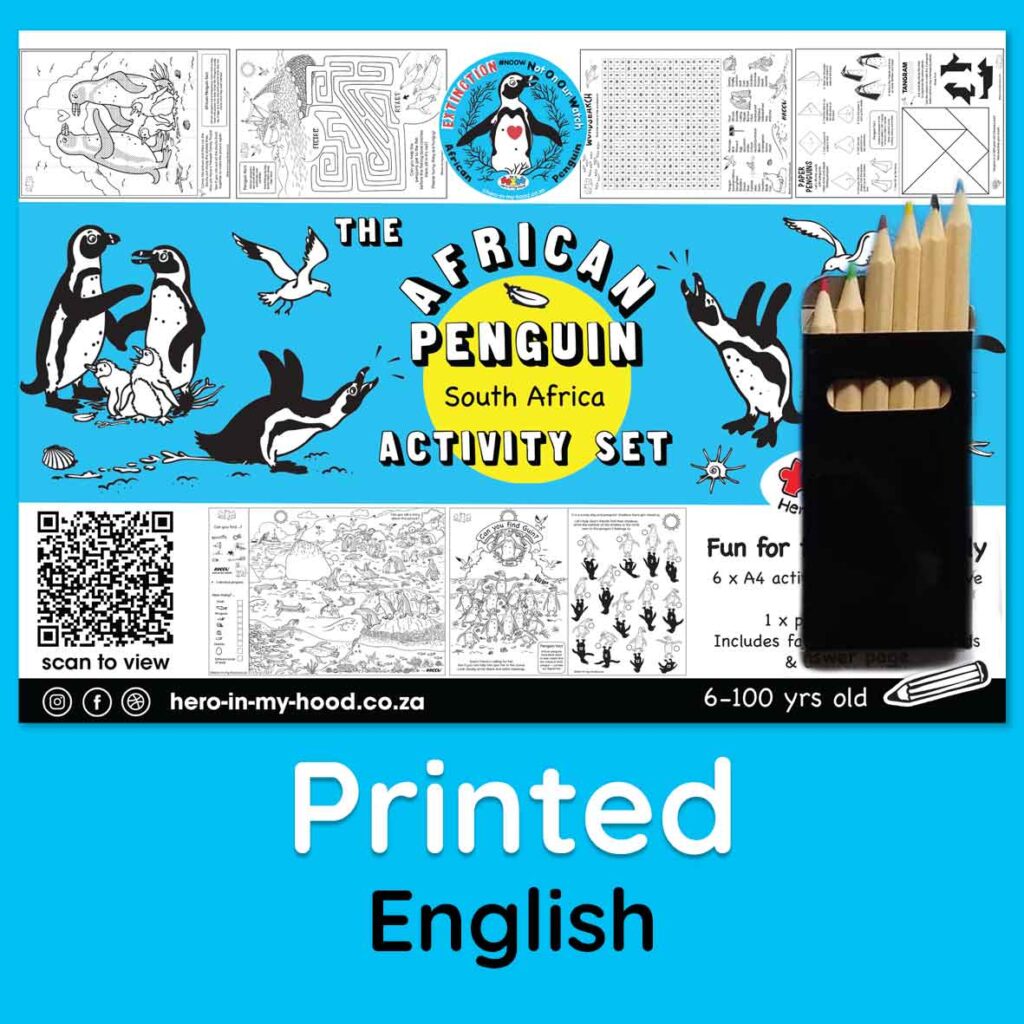 African penguin activity set, A4 - printed