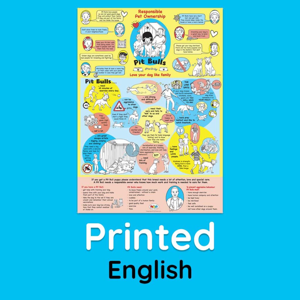Pit Bull poster, English - printed