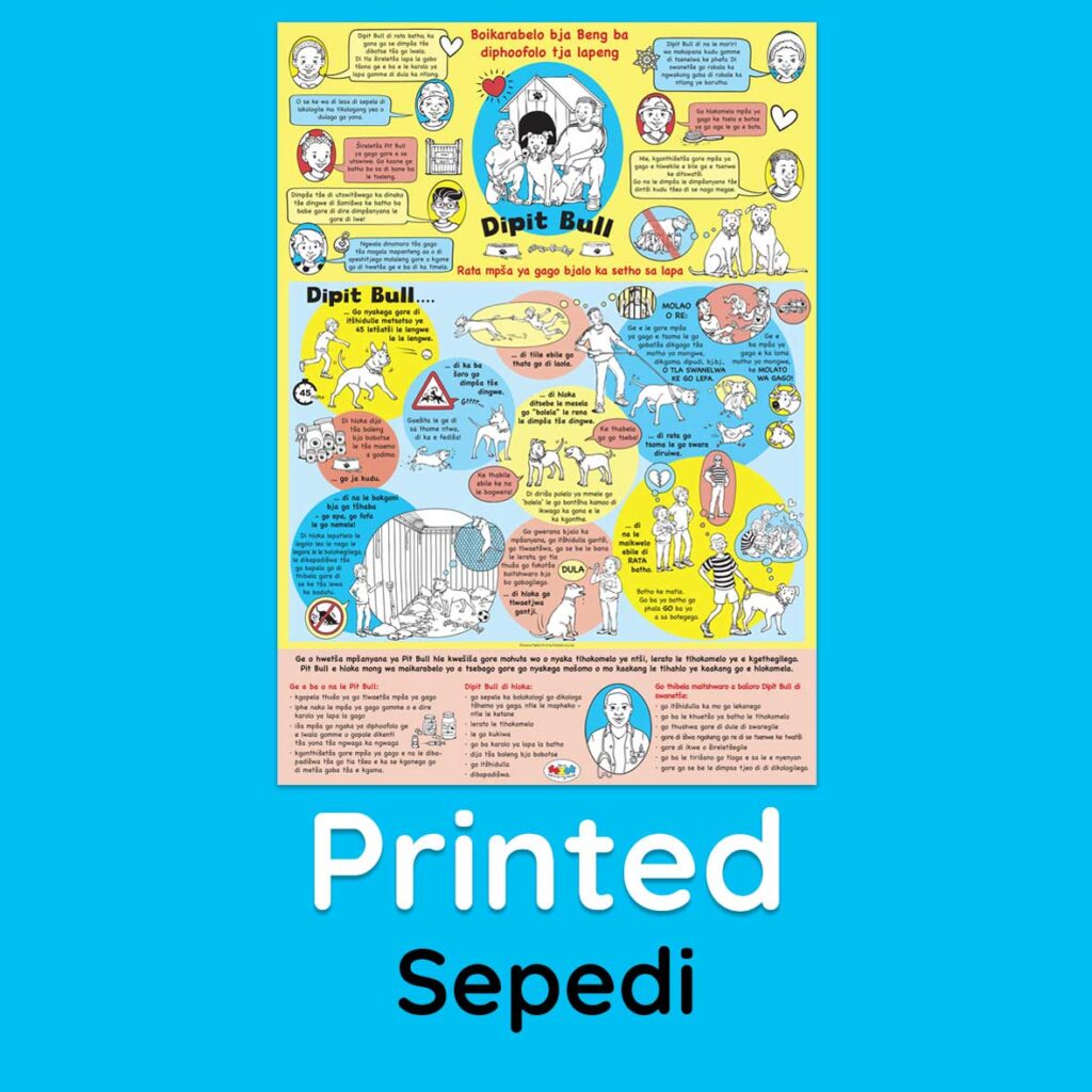 Pit Bull Poster, Sepedi - printed