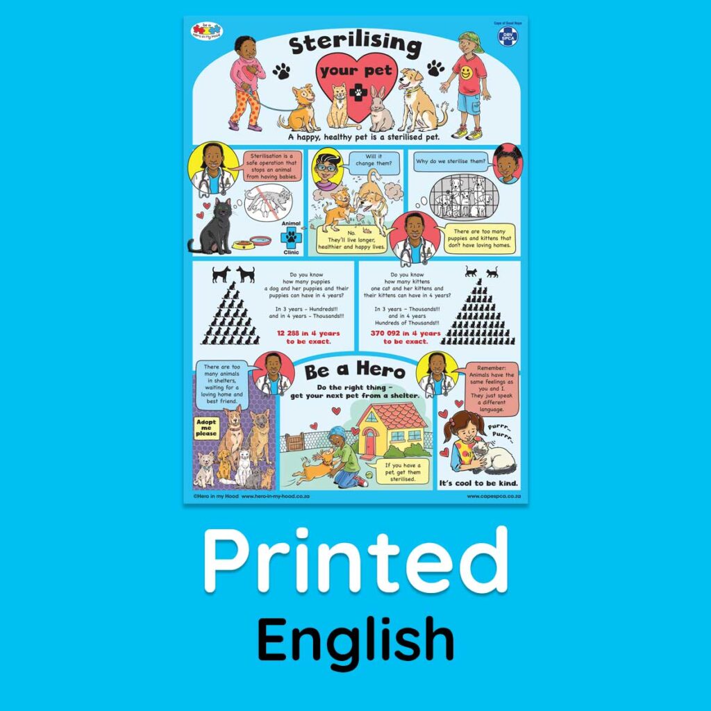 SPCA ECD sterilisation poster, English - printed