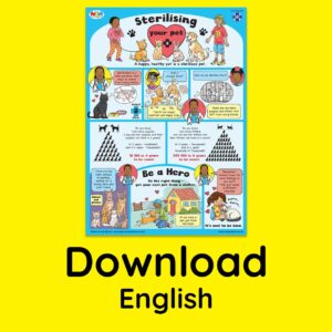 SPCA ECD sterilisation poster, English - download
