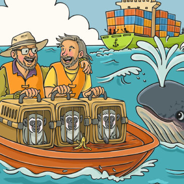 The Monkeys Who Went to Sea 