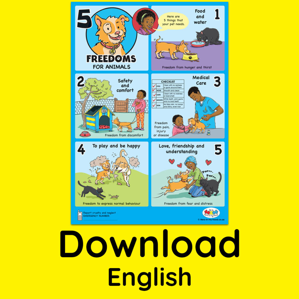 New 5 Freedoms poster, English - download