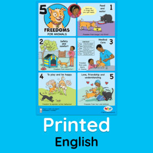 New 5 Freedoms poster, English - printed
